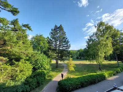 Naturlandschaft in der Nähe der Ferienwohnung