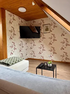 TV/Unterhaltungsangebot in der Unterkunft Apartment Waldkauz - Altenau