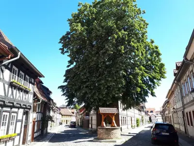 Die Umgebung um das Ferienhaus