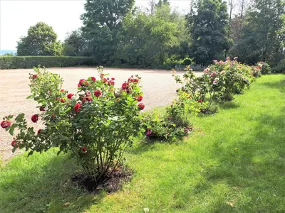 Ein Garten an der Unterkunft Ferienwohnung Auf dem Kanstein