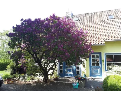 Ein Garten an der Unterkunft Ferienwohnung Auf dem Kanstein