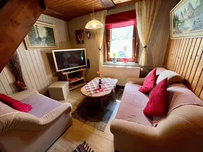 TV/Unterhaltungsangebot in der Unterkunft Gemütliches kleines Ferienhäuschen Nr. 3 im Harz für 2 Personen (inkl. Balkon)