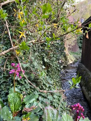 Ein Garten an der Unterkunft Gemütliches kleines Ferienhäuschen Nr. 3 im Harz für 2 Personen (inkl. Balkon)