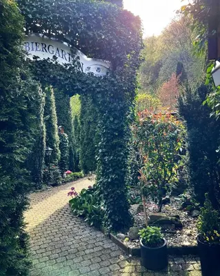 Naturlandschaft in der Nähe der Ferienwohnung