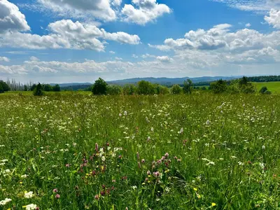 Naturlandschaft in der Nähe der Ferienwohnung