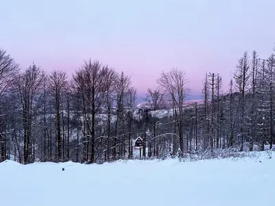 Luna im Winter