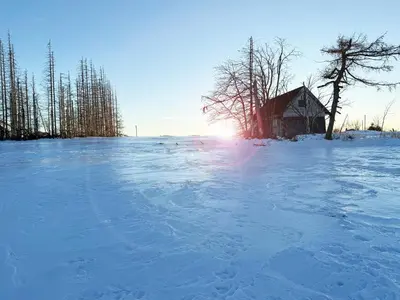 Luna im Winter