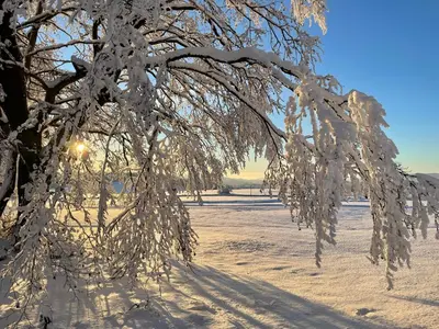 Luna im Winter