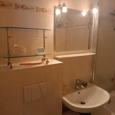 Ein Badezimmer in der Unterkunft Waldperle Brockenblick im Panoramic Oberharz