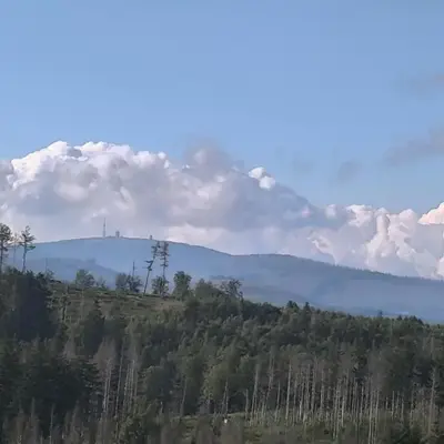 Waldperle Brockenblick im Panoramic Oberharz
