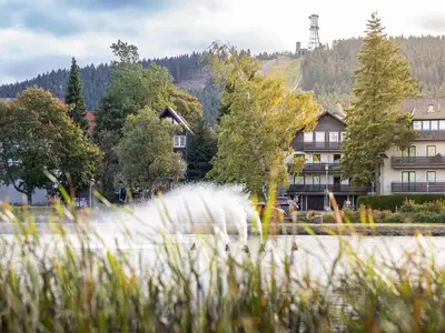 Naturlandschaft in der Nähe des Ferienhauses