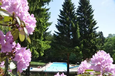 Der Swimmingpool an oder in der Nähe von Ferienapartments am Brocken