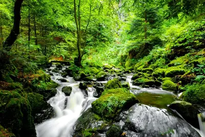 Naturlandschaft in der Nähe der Ferienwohnung