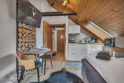 Küche/Küchenzeile in der Unterkunft HIRSCH Stadt Apartment 5 - Parkplatz - Zentral