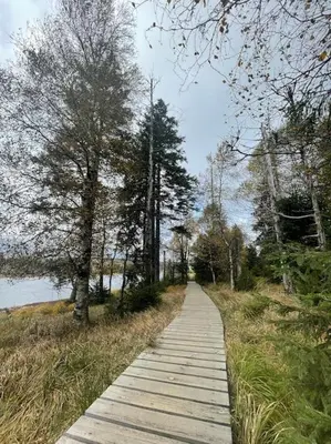 Naturlandschaft in der Nähe der Ferienwohnung
