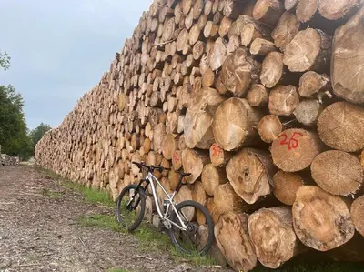 Radfahren an der Unterkunft Kleine Freiheit oder in der Nähe