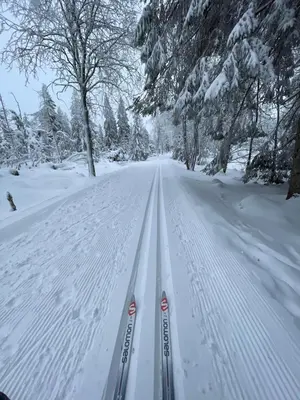 Kleine Freiheit im Winter