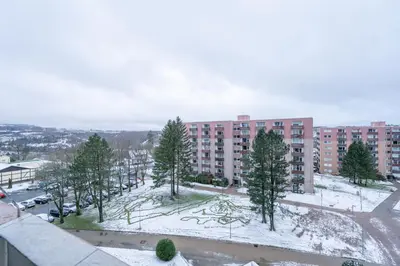 Waldperle im Winter