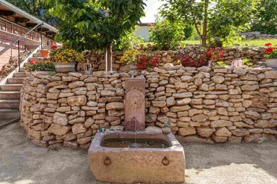 Ein Garten an der Unterkunft Pension zur Bahn
