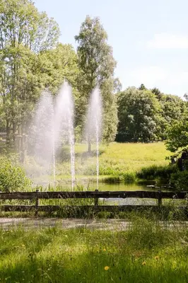 Naturlandschaft in der Nähe der Ferienwohnung