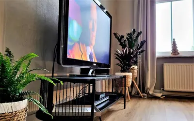 TV/Unterhaltungsangebot in der Unterkunft HIRSCH Apartment Waldhörnchen - zentral - ruhig