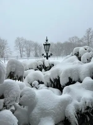 Atempause und erholsame Zeit im Harz im Winter
