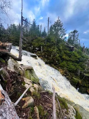 Naturlandschaft in der Nähe der Ferienwohnung