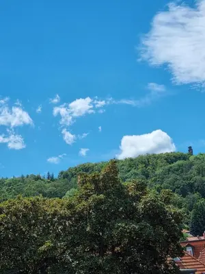 Naturlandschaft in der Nähe der Ferienwohnung