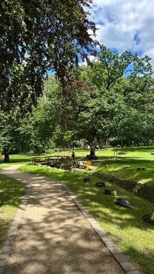 Ein Garten an der Unterkunft Am Wäldchen