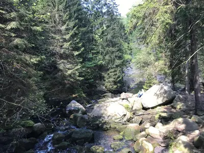Naturlandschaft in der Nähe der Ferienwohnung