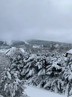 Harzgeist im Winter