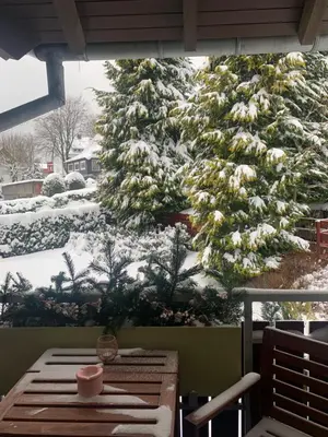 Harzgeist im Winter