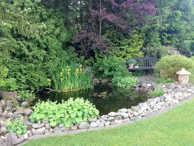 Ein Garten an der Unterkunft Ferienwohnung Will