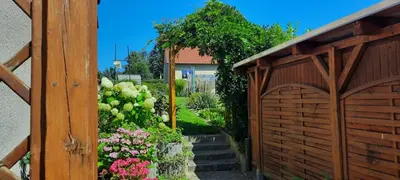 Ein Garten an der Unterkunft Zum Winzer