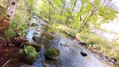 Naturlandschaft in der Nähe des Bed & Breakfasts