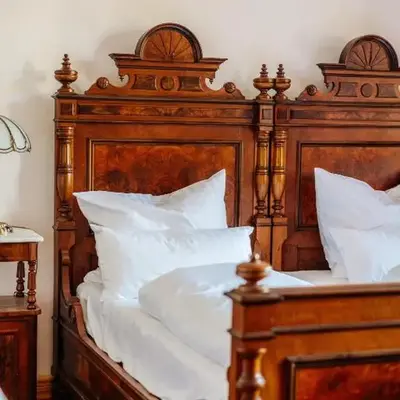 Unik Villa- Luxus Appartemente im Oberharz