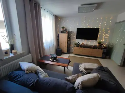 TV/Unterhaltungsangebot in der Unterkunft Ferienwohnung im Harz 1