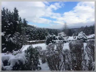 Harz Fewo Eulennestchen L2 im Winter