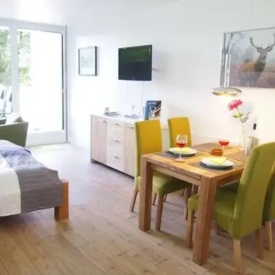 Apartment Harzgrün 1