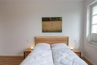 Ein Bett oder Betten in einem Zimmer der Unterkunft Ferienwohnung Hirschmann 3 mit Sauna und Balkon