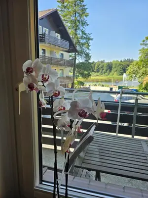 Ein Balkon oder eine Terrasse in der Unterkunft Hexreigen am See