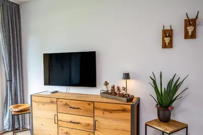 TV/Unterhaltungsangebot in der Unterkunft Wilder Hans