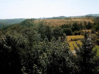 Naturlandschaft in der Nähe der Ferienwohnung