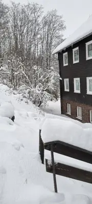 Ferienwohnung-Harzidyllisch im Winter