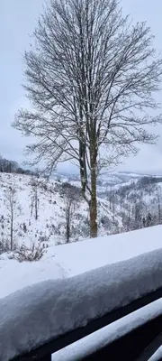 Ferienwohnung-Harzidyllisch im Winter