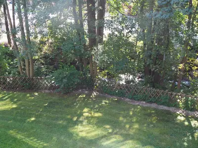 Ein Garten an der Unterkunft Ferienwohnung Bodeblick Braunlage