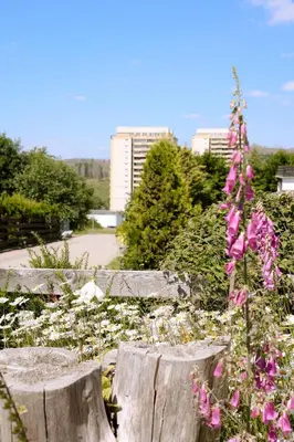 Ein Garten an der Unterkunft Superior Apartment 581, mit Sauna & Schwimmbad