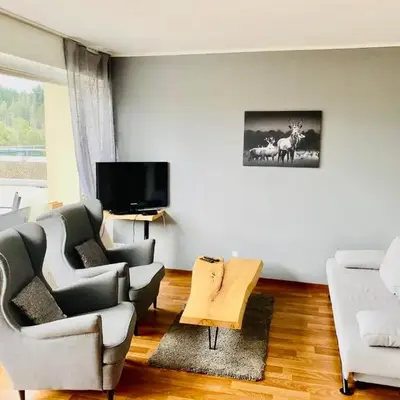 Terrassenhaus im Harz