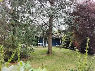 Ein Garten an der Unterkunft Hochwald chalet