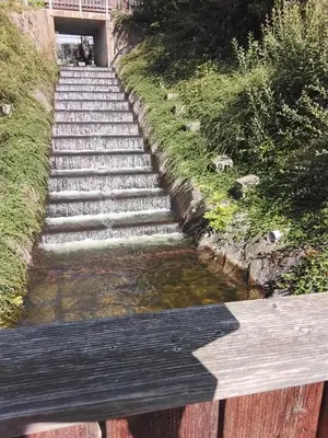 Grundriss der Unterkunft Hochwald EnSuite